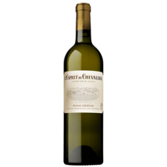 L'Esprit Chevalier 