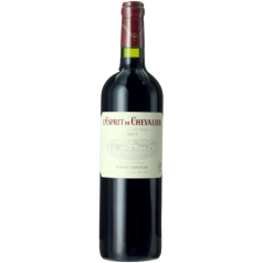 L'Esprit Chevalier 