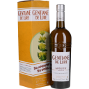 Gentiane de Lure 