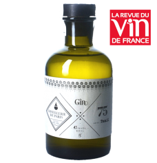 Gin Tonik 