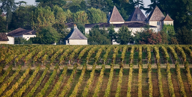 Château Carbonnieux image 1