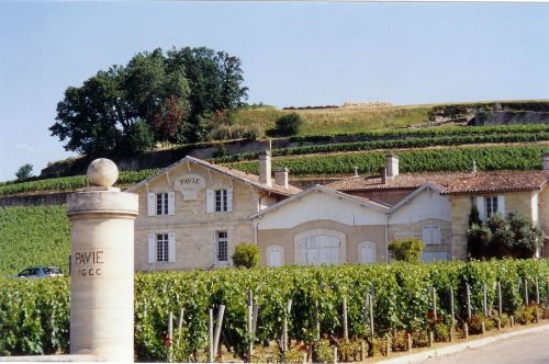 Château Pavie image 1