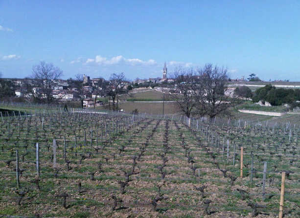 Château Pavie-Macquin image 1