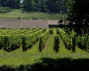 Clos de l'Oratoire image 1