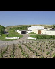 Domaine Pellé image 1