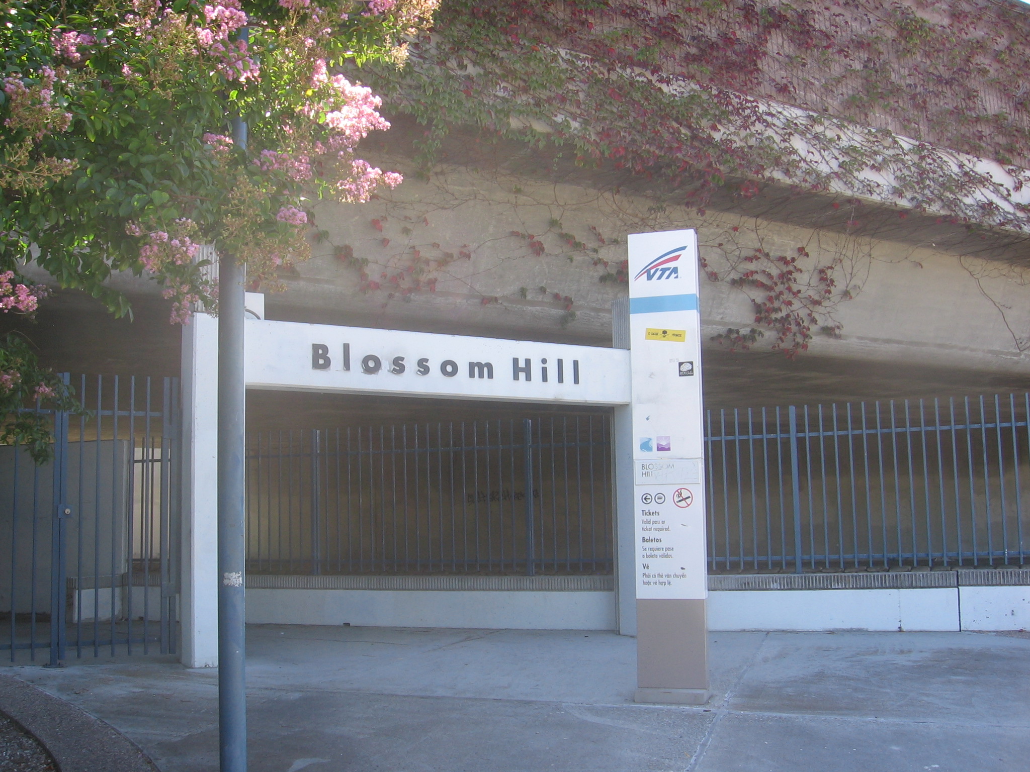 Domaine de Blossom-Hill image 1